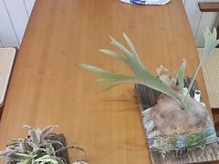 -Rabbit Cafe私房西餐甜点咖啡(栖霞路店)