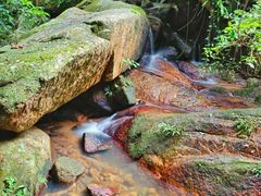 -阳台山森林公园
