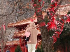 -沂蒙山旅游区云蒙景区(蒙山国家森林公园)