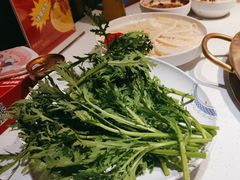 -小龙坎火锅(总店)