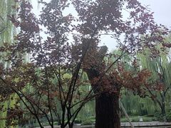 -玲珑塔公园