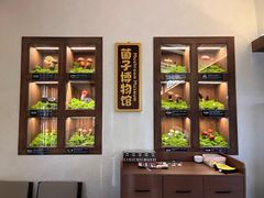 -菌自由丨野生菌火锅特色庭院餐厅(丽江古城店)