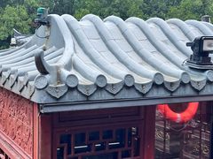-大湾区中央湿地公园