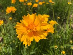 -石井坡(地铁站)