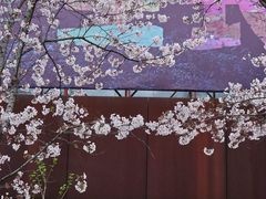 -龙美术馆(西岸馆)