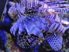 -郑州海洋馆