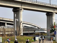 -白鹭湾湿地公园