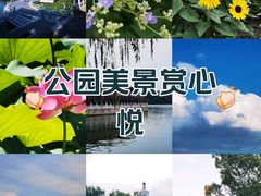 -北海公园
