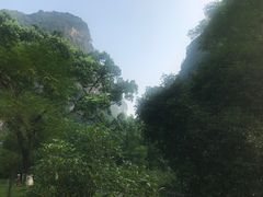 -广悦华阳朔河畔度假酒店(十里画廊遇龙河店)