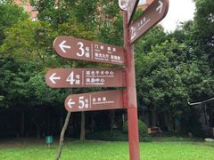 -上海市眼病防治中心(康定路院区)