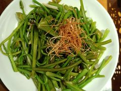 -菌自由丨野生菌火锅特色庭院餐厅(丽江古城店)