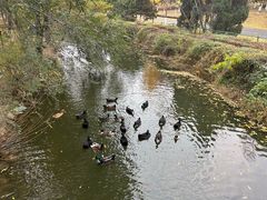 -长白岛森林公园