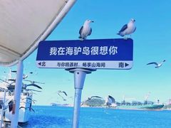 -海驴岛(荣成市)