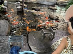 -南昌动物园