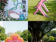 -莲花山公园