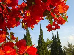 -亚非会议纪念博物馆