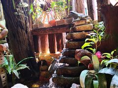 -自然餐厅(Phuket)