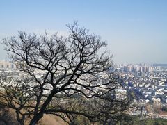 -灵岩山风景区