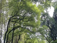 -采石矶-马鞍山太白楼