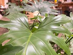 -邈墨茶馆(大兜路1号店)