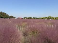 -嘉北郊野公园