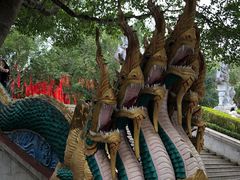 -西双版纳勐泐文化旅游区