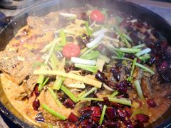 -老板恋上鱼(恒隆广场店)