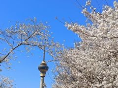 -双井轩(双井店)