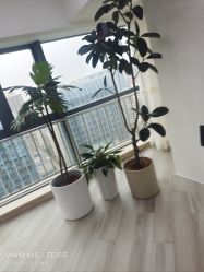 -HEYAN荷妍专业脱毛连锁机构