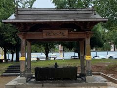 -庐山风景名胜区-东林大佛