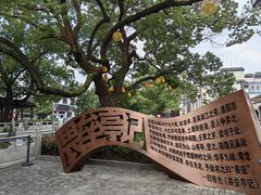 -安亭老街