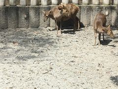-成都动物园