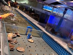 -一方渔歌蒸汽海鲜自助(文化路万达广场店)