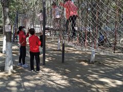 -草根堂农场