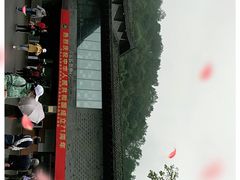 -都江堰中华大熊猫苑