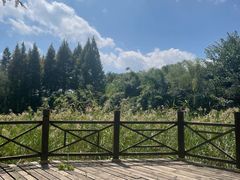 -贵阳市花溪国家城市湿地公园