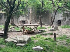 -上海野生动物园