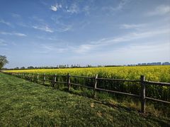 -汉长安城未央宫国家考古遗址公园