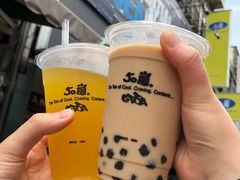 -50嵐鲜茶专卖连锁店(金城镇店)