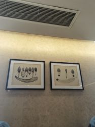 -四川米兰柏羽医学美容医院