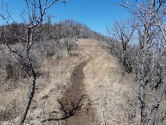 -阳台山自然风景区