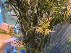 -CIAO·团建聚餐·生日派对轰趴馆(福田店)