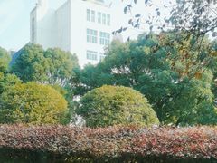 -马王堆汉墓遗址