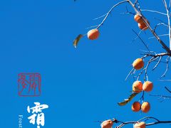 -北京石刻艺术博物馆(五塔寺)