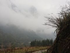 -鹿院坪生态旅游景区