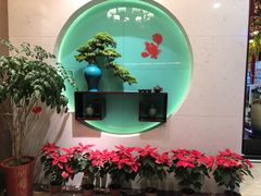 -朱桥甲鱼馆(淮海西路店)