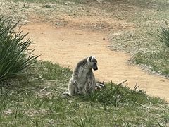 -秦皇岛野生动物园