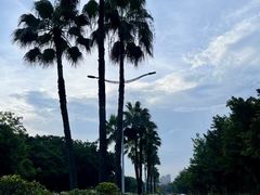 -清湖文化公园
