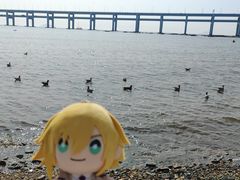 -黑石礁公园