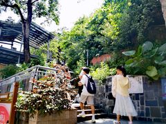 -佛山华盖山公园